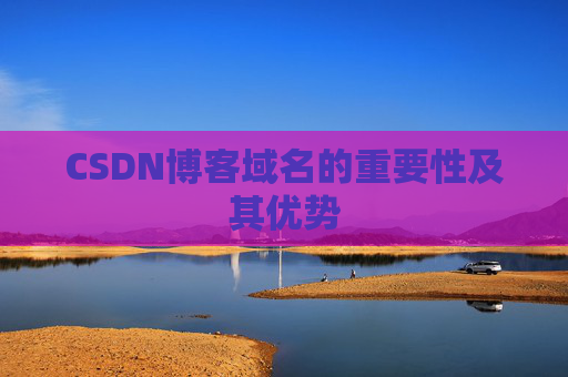 CSDN博客域名的重要性及其优势